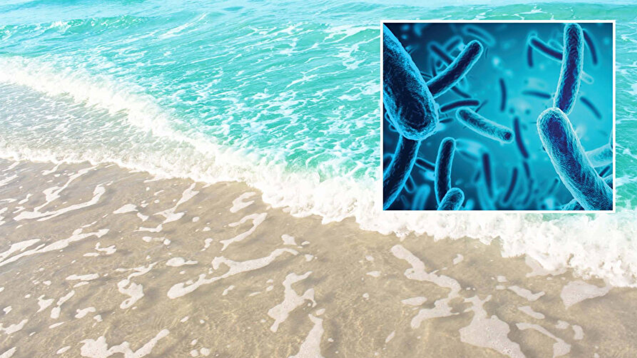 Yaz aylarında bu bakteriye dikkat!