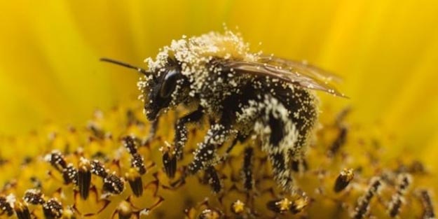 Yaz aylarında buna mutlaka dikkat edin!