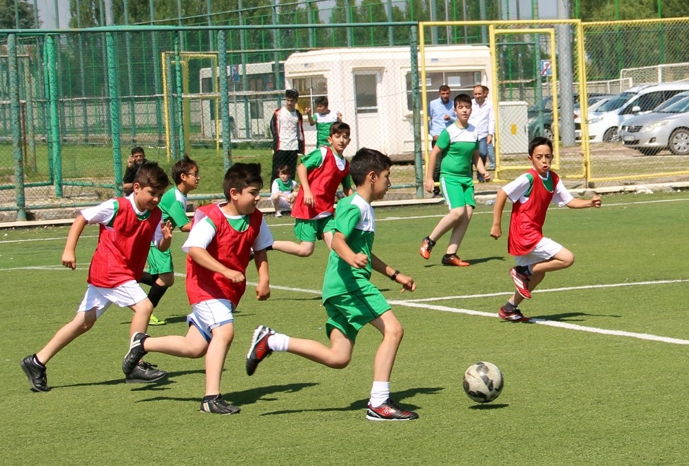 Yaz okulu kayıtları başladı 