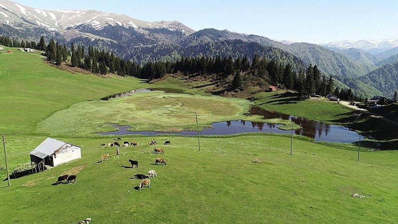 Yaz tatili planlayanlar dikkat! Yayla havası herkese şifa değil