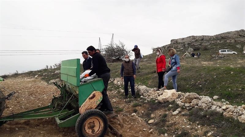 Yazıhan’a yerli kırmızı mercimek ekimi yapıldı 