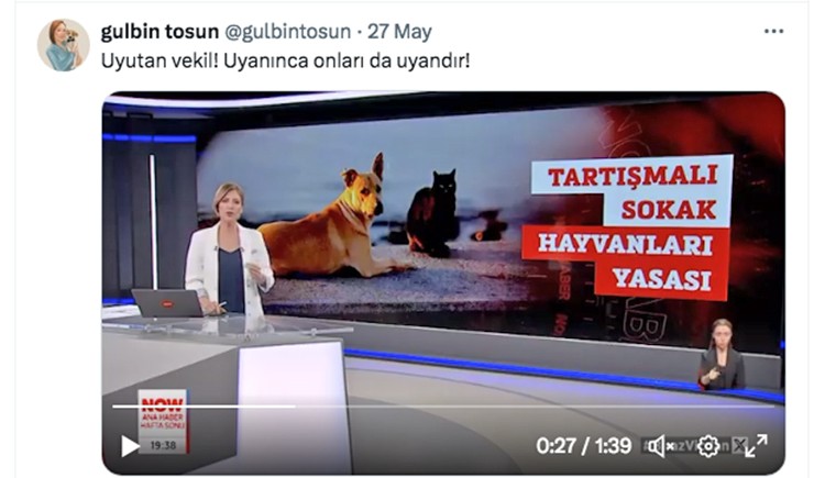 Yazıııııııık!.. Yüreği kaldıramamışmışmış... Hayırdır sana Gülbin, ne anlatıyorsun?