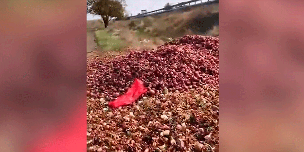 Yazıklar olsun! Sırf AK Parti'ye zarar vermek için tonlarca soğanı döktüler