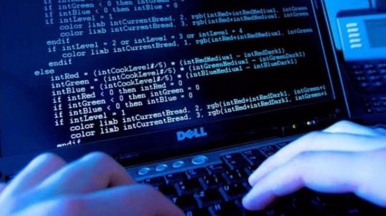 Yazılımın babayiğitleri hazır bekliyor