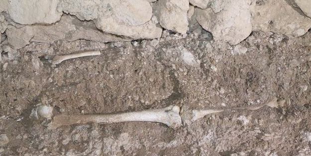 'Yedi Kardeşler' türbesindeki kemikler ortaya çıktı!