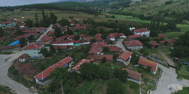 Yedikleri peynir aynı aileden 6 kişiyi hastanelik etti