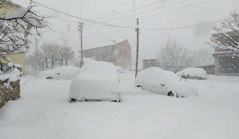 Yedisu’da taşımalı eğitime 1 gün ara verildi