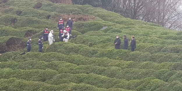 Yeğenini öldürüp çaylığa gömen amca teslim oldu