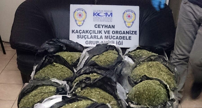 Yem çuvallarının arasından çıkana bakın!