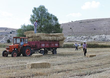 “Yem ve saman fiyatları üreticinin cebini yakmayacak”