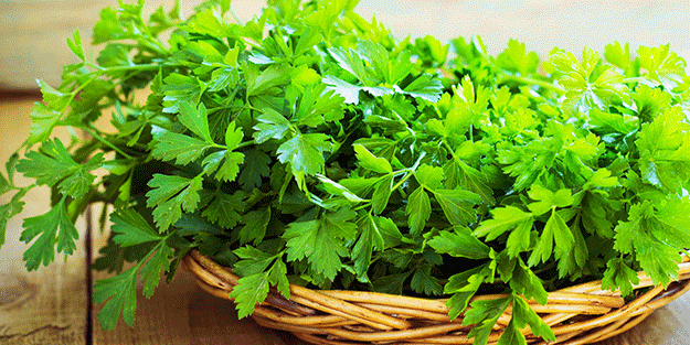 Yemeklere maydanoz ekleyenler dikkat! Eğer bunu yapmazsanız…
