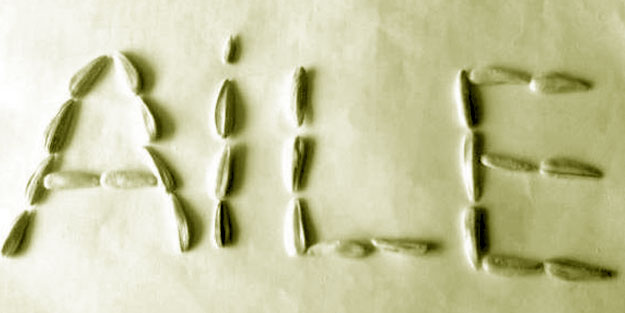 ‘Yenge’ sıfatı ahlaksız fotoğraflarla ifsad ediliyor!