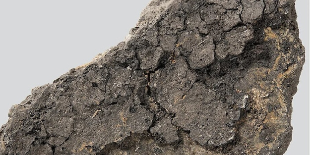 Yeni bir keşif çok ilginç! Bu sır ortaya çıktı: 5.000 yıllık yemek yapımını aydınlatıyor! Bu nasıl seçim diyeceksiniz