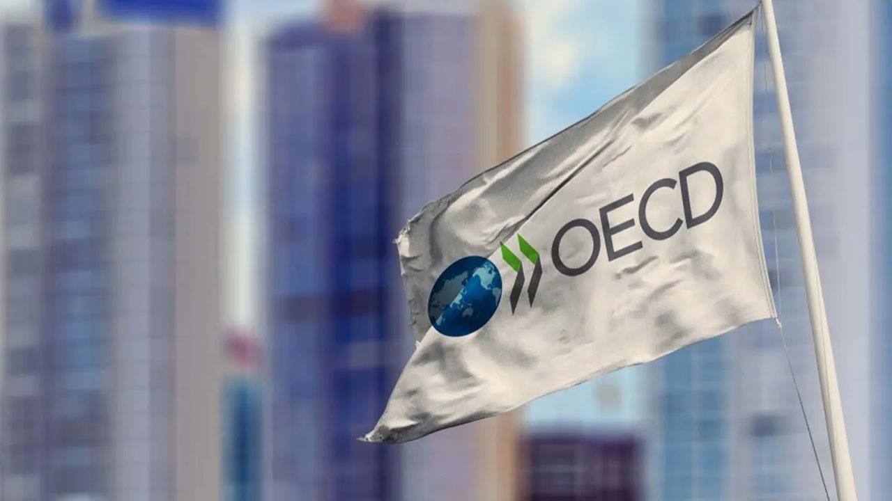 Yeni bir kriz mi kapıda? OECD'den 'borç' uyarısı