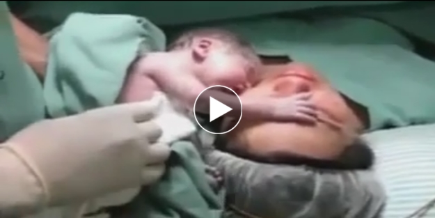 Yeni doğmuş bebek annesinden ayrılmak istemiyor!