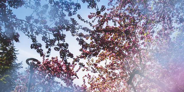 Yeni hafta ile birlikte sıcak günler artacak!