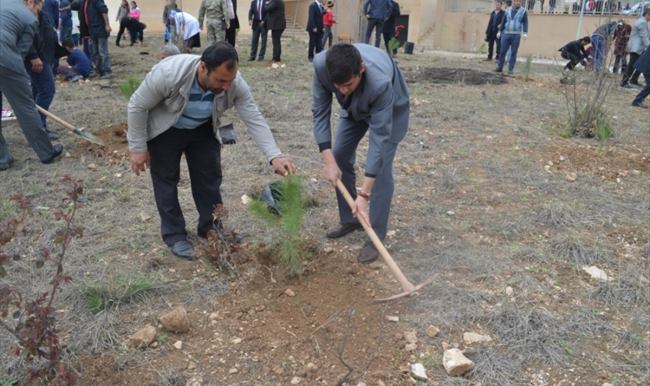 Yeni Hasankeyf yerleşkesinde ağaç dikimi
