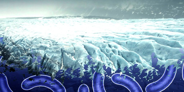 Yeni hastalıklara kapı aralayabilir: Buzulların altında bin yeni antik mikrop türü bulundu!