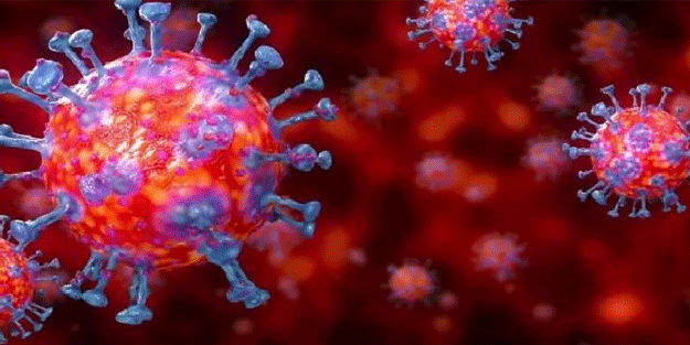 Yeni koronavirüs türüyle ilgili Fransa'dan korkutan açıklama!