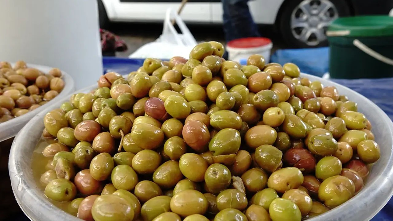 Yeni mahsul kırma yeşil zeytin: Damakları tatlandırmaya başladı!