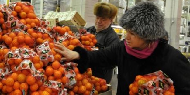 160 şirketimiz Rusya'ya ihracat yapacak