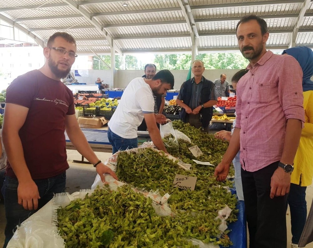 Yeni ürün yaş fındık tezgaha indi 