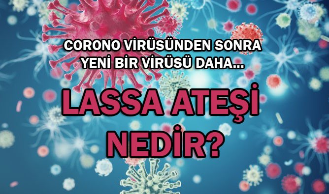 Yeni virüs Lassa ateşi nedir?