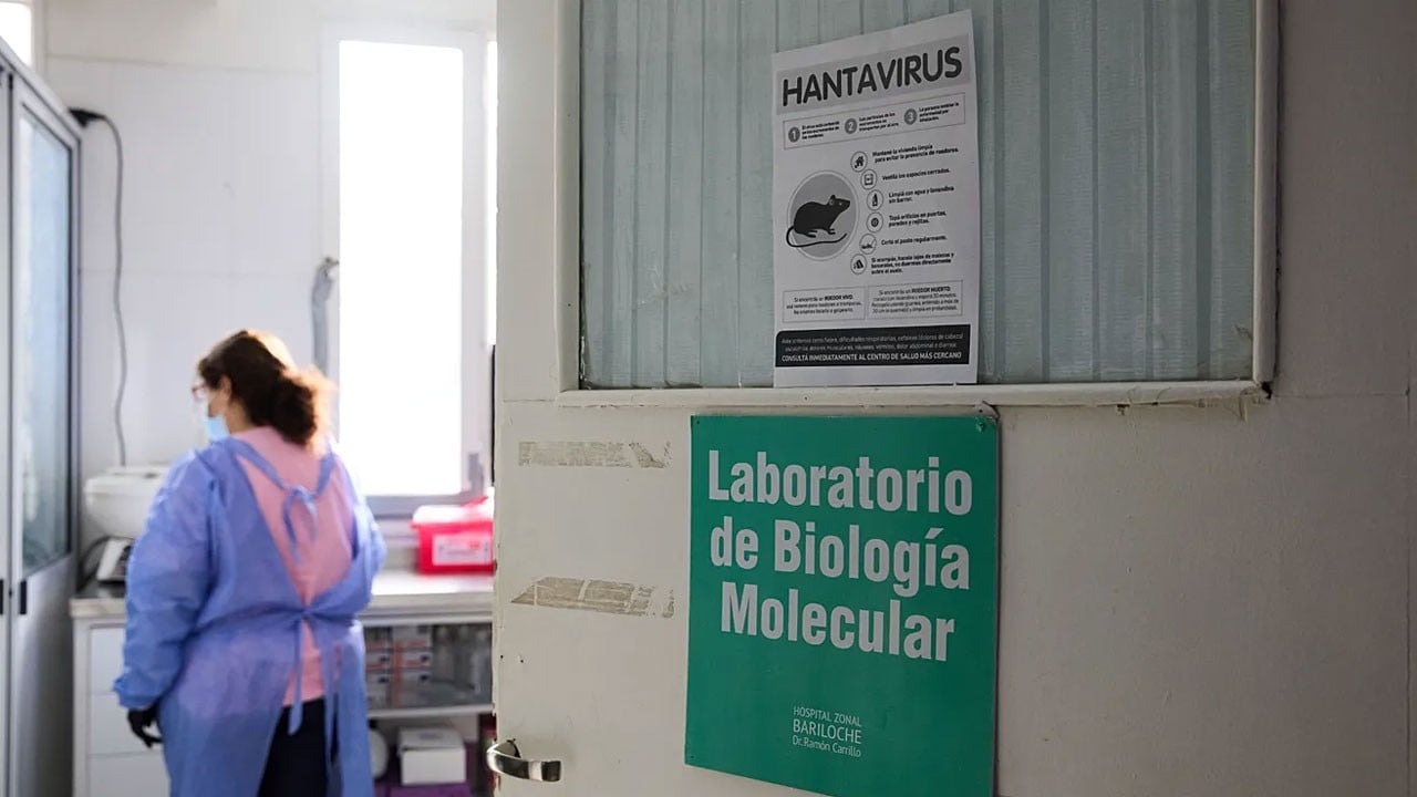 Yeni virüse karşı aşı yarışı başladı