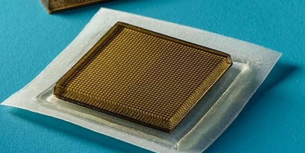 Yeni yapay zeka teknolojisi: Bebeklerin anne karnında büyümesi telefondan izlenebilecek