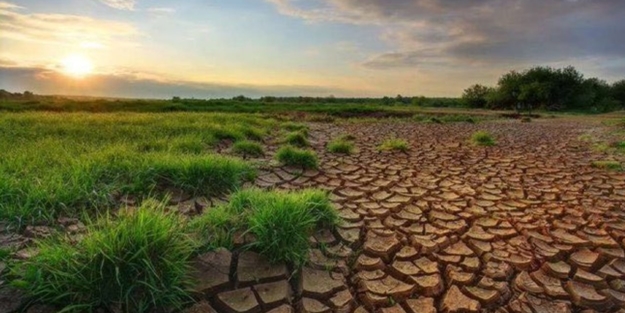 Yeni Zelanda acil iklim durumu ilan etti