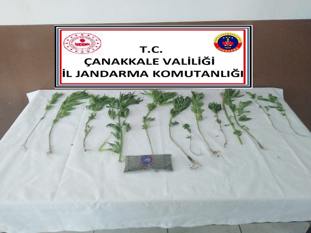 Yenice’de uyuşturucu operasyonu: 2 gözaltı 