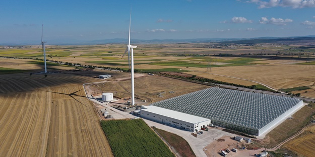Yenilenebilir enerjiyle cam serada domates üretiyorlar! İşte hedef