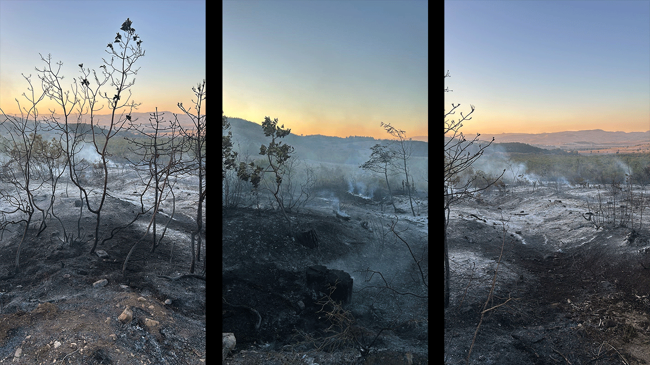 Yenişehir yangını söndürüldü