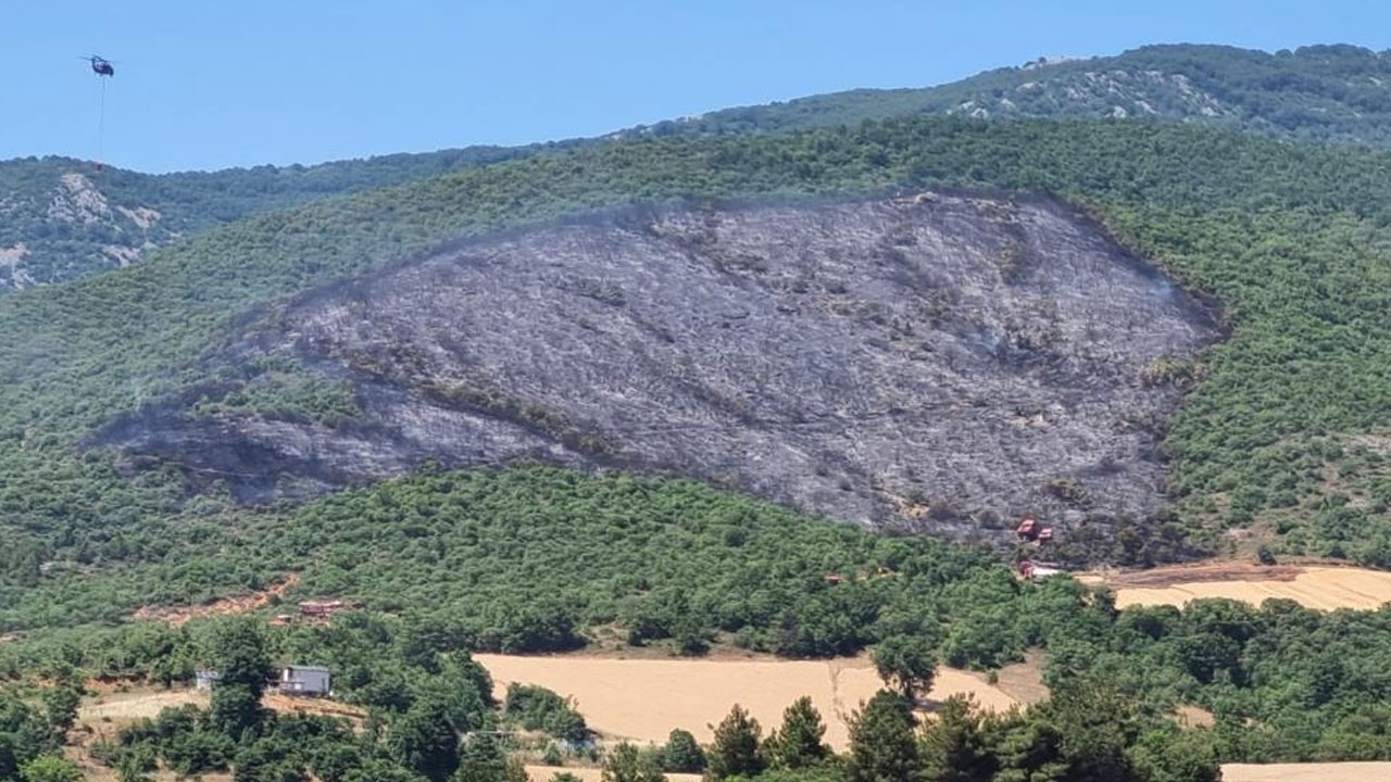 Yenişehir'deki yangından iyi haber