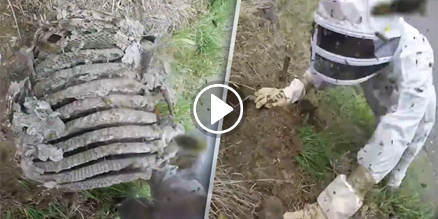 Yer altından çıkan şey karşısında şoke oldular