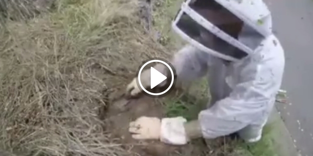 Yer altından çıkanlar hayrete düşürdü!