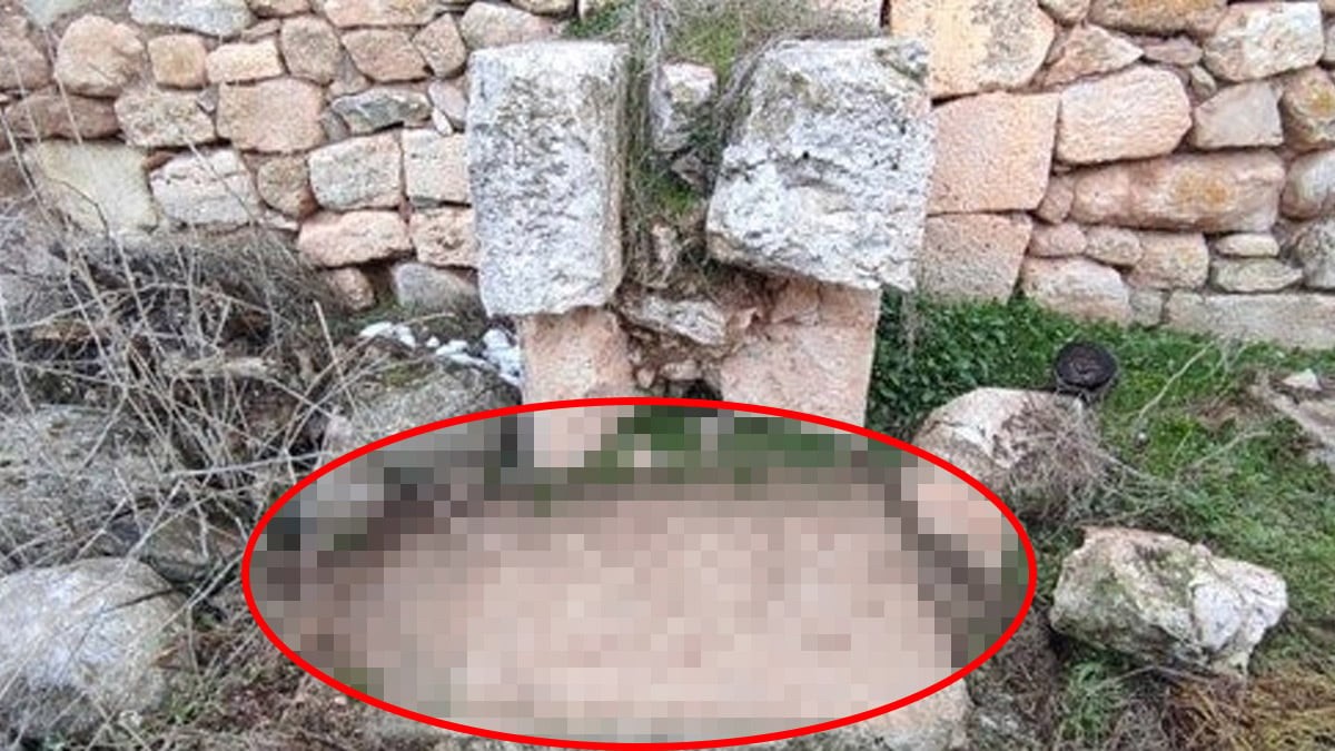 Yer Eskişehir! Evinin bahçesinden resmen fışkırdı! Roma’nın hazinesi meğer orada yatıyormuş