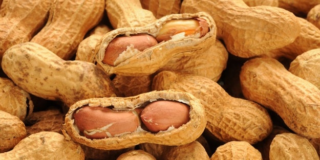 Yer fıstığının hangi hastalığa iyi geldiğine inanamayacaksınız!