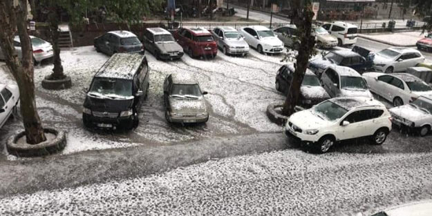 Yer: İzmir! Görenler gözlerine inanmadı