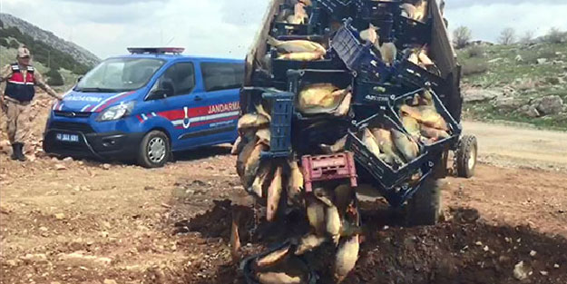 Yer: Kahramanmaraş! Ekipler fark etti, hemen bir çukura gömüldü