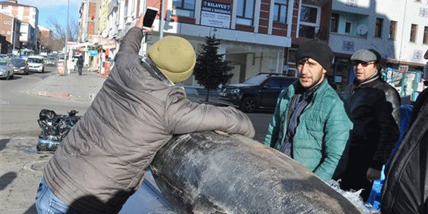 Yer: Kars, tam 250 kilo… Canavar ile özçekim!