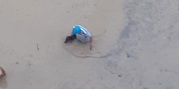 Yer: Kastamonu... Selde canını düşünmeden hayvanları kurtardı