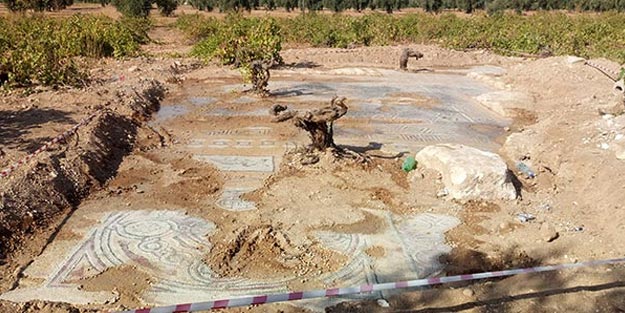 Yer: Kilis! Tarlasını sürerken buldu, hemen korumaya alındı