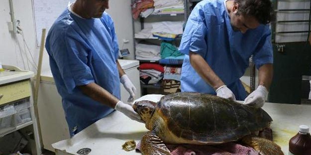 Yer kirası ödenmeyen DEKAMER kapanabilir