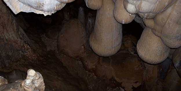 Yer: Tokat… Nisan’da başlıyor, başvuruyu yapan görecek!