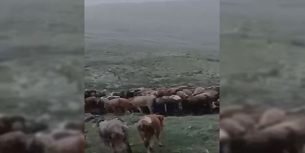 Yer Türkiye! Temmuzda kar yağışı