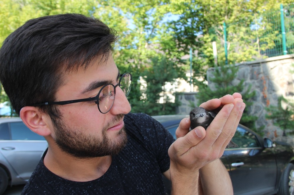 Yerde bulduğu Ebabil kuşuna sahip çıktı 
