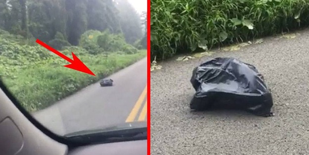 Yerde hareket eden poşet gördü, içinden bakın ne çıktı!