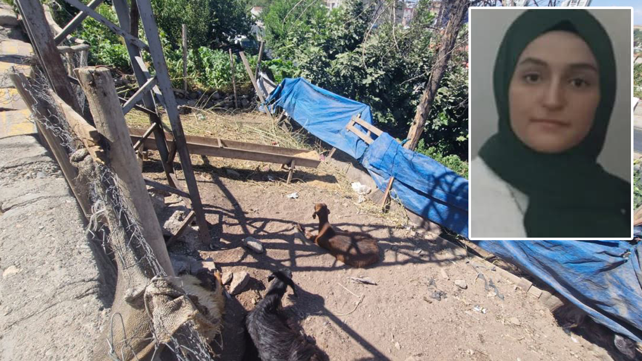 Yerde hareketsiz yatan keçiye dokundu anında öldü