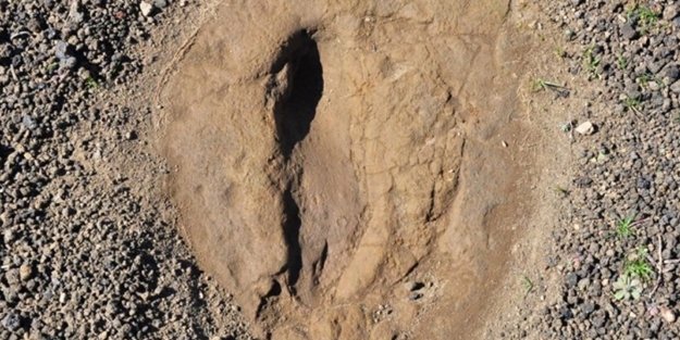 Yeri gizli tutuluyor! Tam 5 bin yıllık